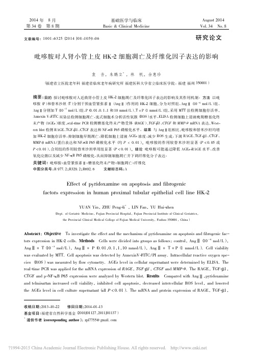 吡哆胺对人肾小管上皮HK_2细胞凋亡及纤维化因子表达的影响_袁音