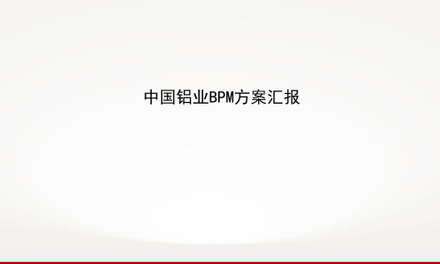 中国铝业BPM方案汇报