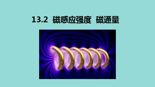 教学课件：13.2磁感应强度 磁通量