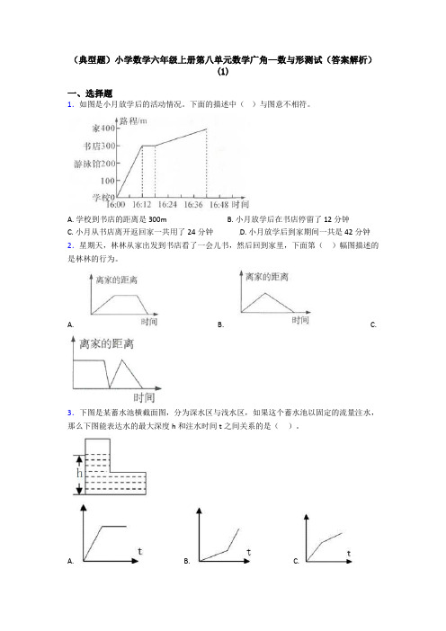 (典型题)小学数学六年级上册第八单元数学广角—数与形测试(答案解析)(1)