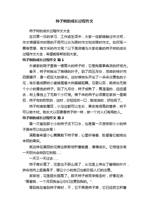 柿子树的成长过程作文