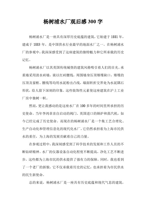 杨树浦水厂观后感300字