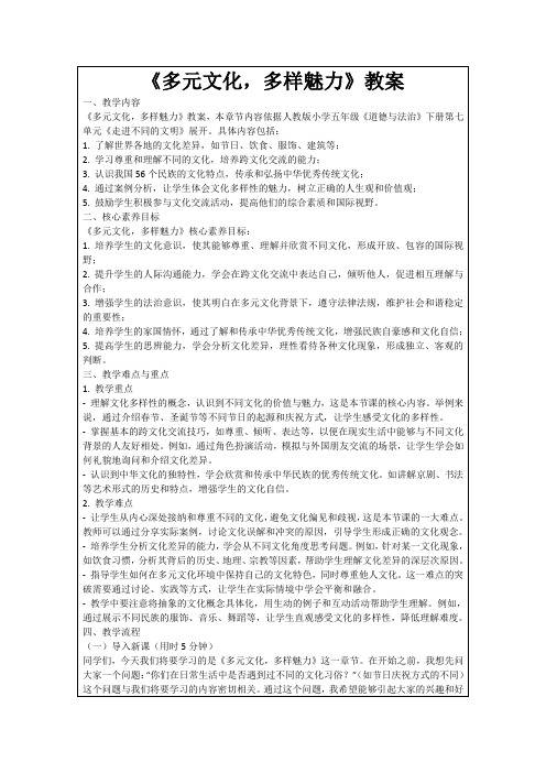 《多元文化,多样魅力》教案