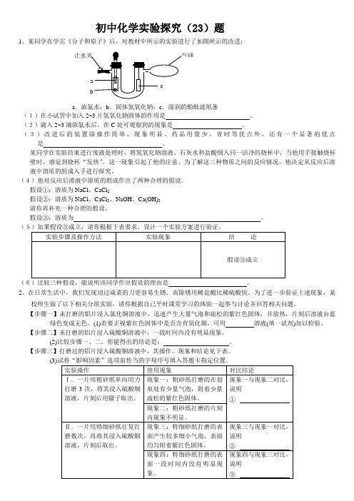 初中化学实验探究(23)题