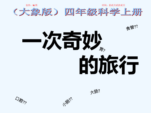 四年级科学上册 2.3《一次奇妙的旅行》课件4 小学四年级上册自然科学课件