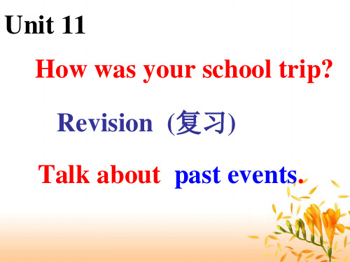 山东2020--2021学年七年级下学期英语Unit11 复习课件