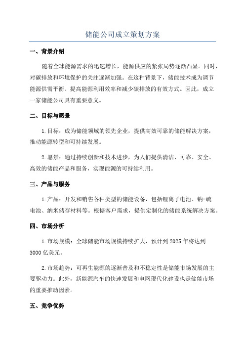 储能公司成立策划方案