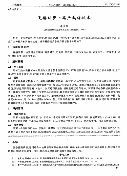 夏播胡萝卜高产栽培技术