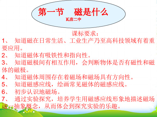 新沪科版物理九年级17.1磁是什么课件 (共13张PPT)