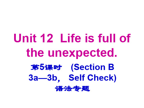 2019-2020年九年级英语人教版教学课件：Unit 12  第5课时 语法专题