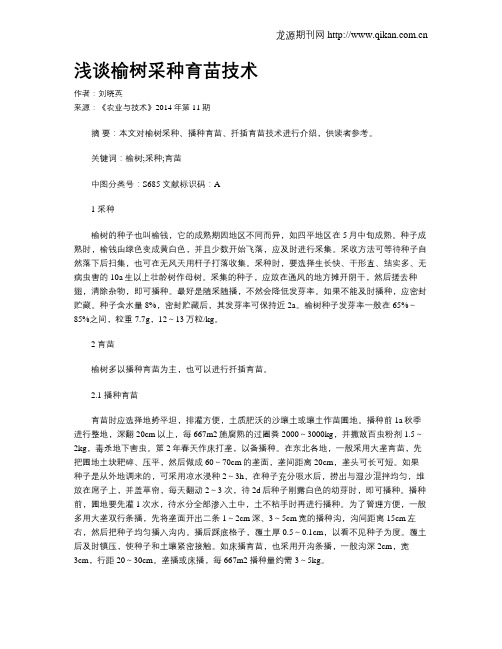 浅谈榆树采种育苗技术