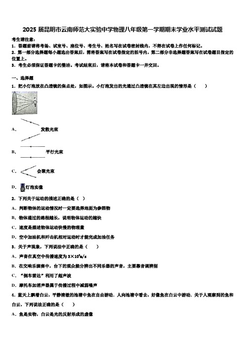 2025届昆明市云南师范大实验中学物理八年级第一学期期末学业水平测试试题含解析