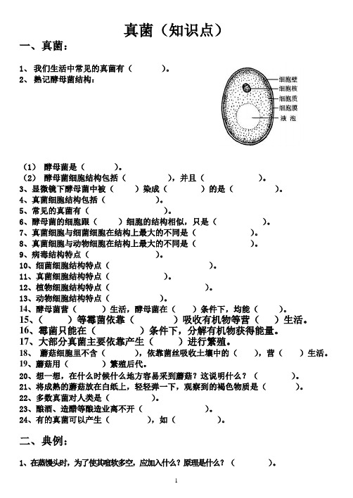 真菌(知识点及答案)