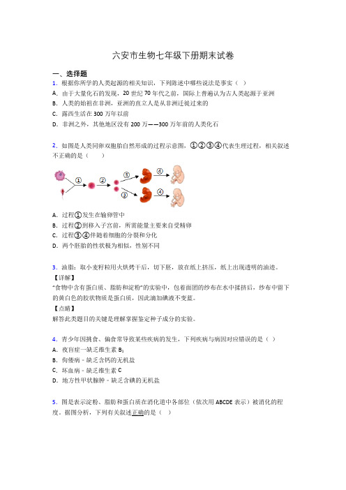 六安市生物七年级下册期末试卷