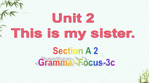 人教版七年级上册英语 Unit 2 Section A(Grammar Focus-3c) 教学课件