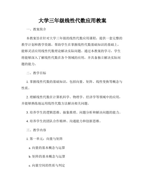 大学三年级线性代数应用教案