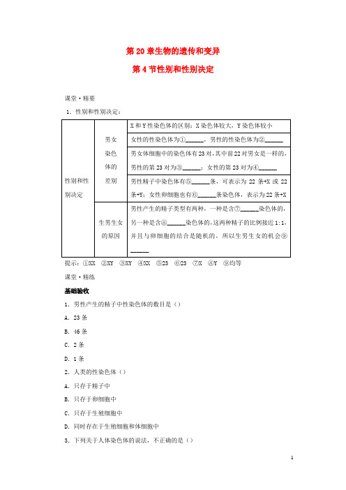 2023八年级生物上册第20章生物的遗传和变异第4节性别和性别决定课堂精练新版北师大版