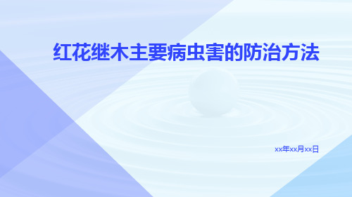 红花继木主要病虫害的防治方法