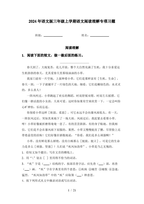 2024年语文版三年级上学期语文阅读理解专项习题