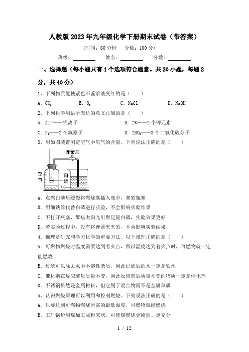 人教版2023年九年级化学下册期末试卷(带答案)