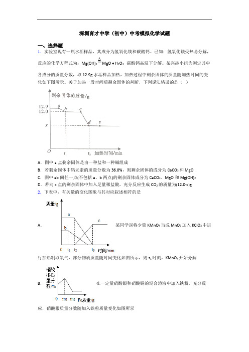 深圳育才中学(初中)中考模拟化学试题