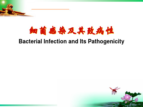 细菌感染及其致病性
