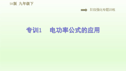 2021春苏科版九年级物理下册课件第15章 15.2专训1  电功率公式的应用