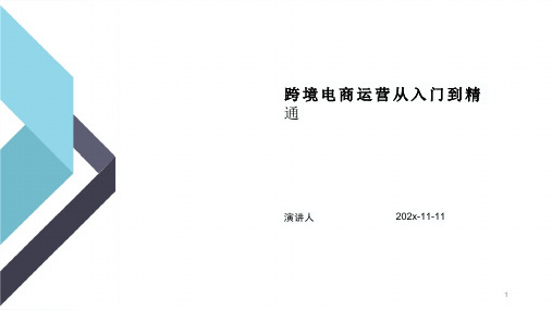 跨境电商运营从入门到精通PPT模板课件