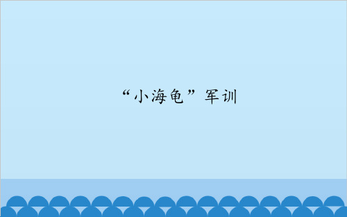 华中师大版(三起)小学信息技术四年级下册0“小海龟”军训课件