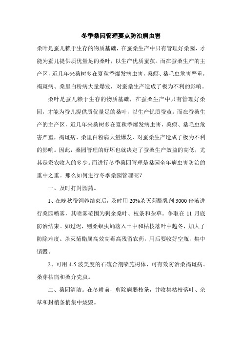 冬季桑园管理要点防治病虫害