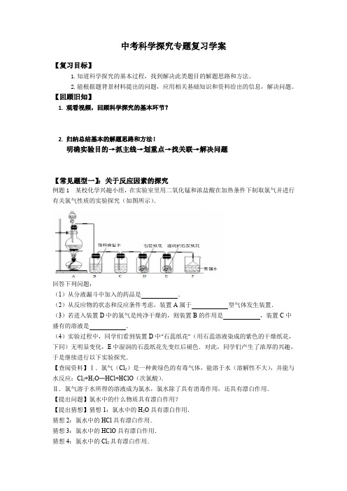 人教版初三化学下册科学探究的专题复习教学设计