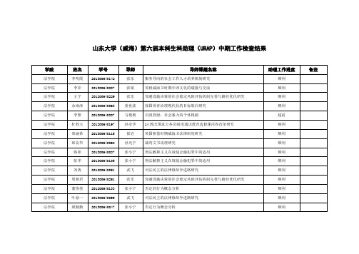 山东大学(威海)URAP中期考评学院统计表