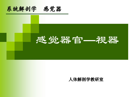 《人体解剖学》教学课件-感觉器官—视器