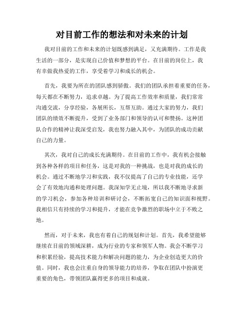 对目前工作的想法和对未来的计划