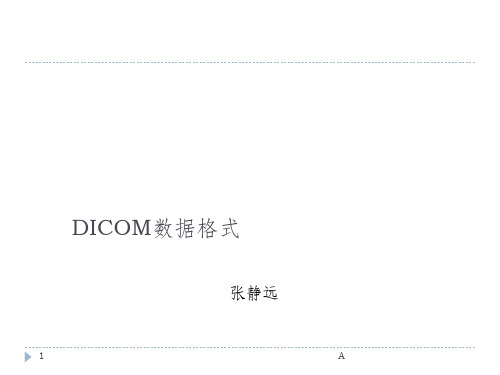 Dicom数据格式