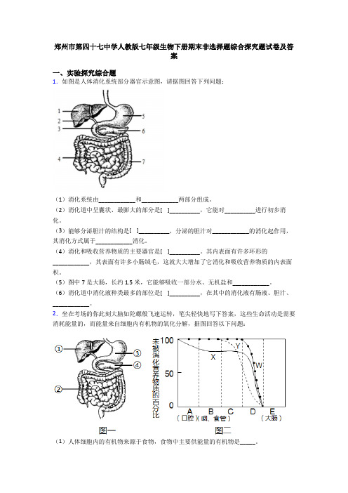 郑州市第四十七中学人教版七年级生物下册期末非选择题综合探究题试卷及答案