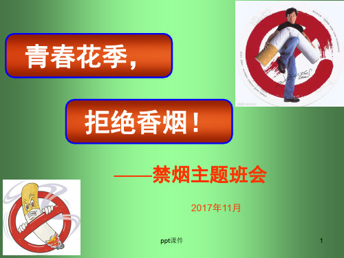 禁烟主题班会  ppt课件