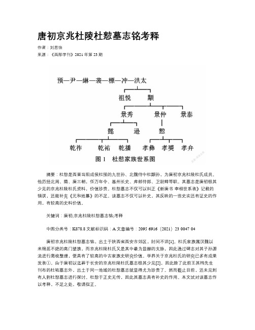 唐初京兆杜陵杜愸墓志铭考释