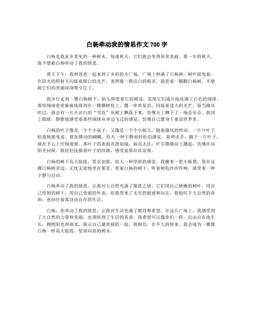 白杨牵动我的情思作文700字