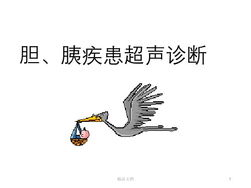 胆胰疾患超声诊断ppt课件