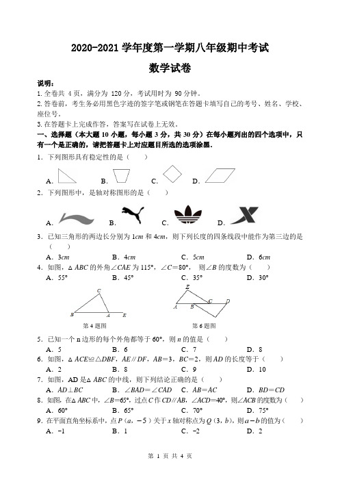 广东省韶关市新丰县2020-2021学年八年级上学期期中考试数学试题