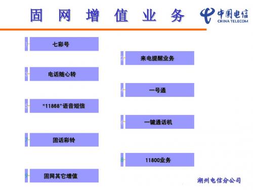 固网增值新业务