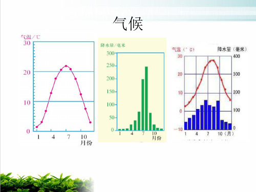 人教版七级上册世界气候类型的分布课件