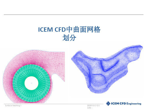 ICEM-CFD 曲面网格划分