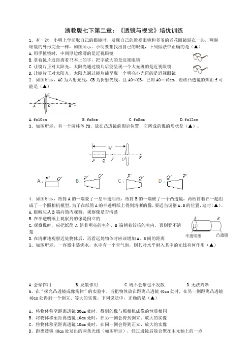 7.2《透镜与视觉》培优训练(原卷版+解析)