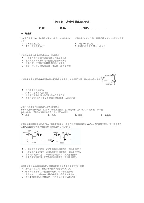 浙江高二高中生物期末考试带答案解析
