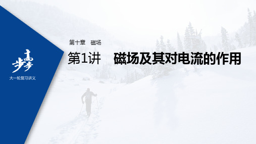 2022年高考物理一轮复习(新高考版2(粤冀渝湘)适用) 第10章 第1讲 磁场及其对电流的作用