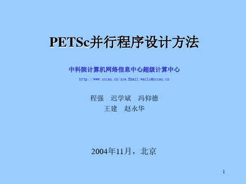 --(课件)-PETSc并行程序设计方法(ppt133)-流程管理