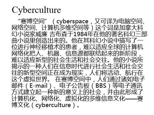 计算机英语课件Unit 10 Cyberculture