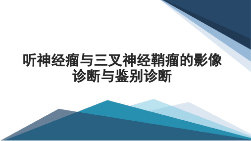 听神经瘤与三叉神经鞘瘤的影像诊断与鉴别诊断